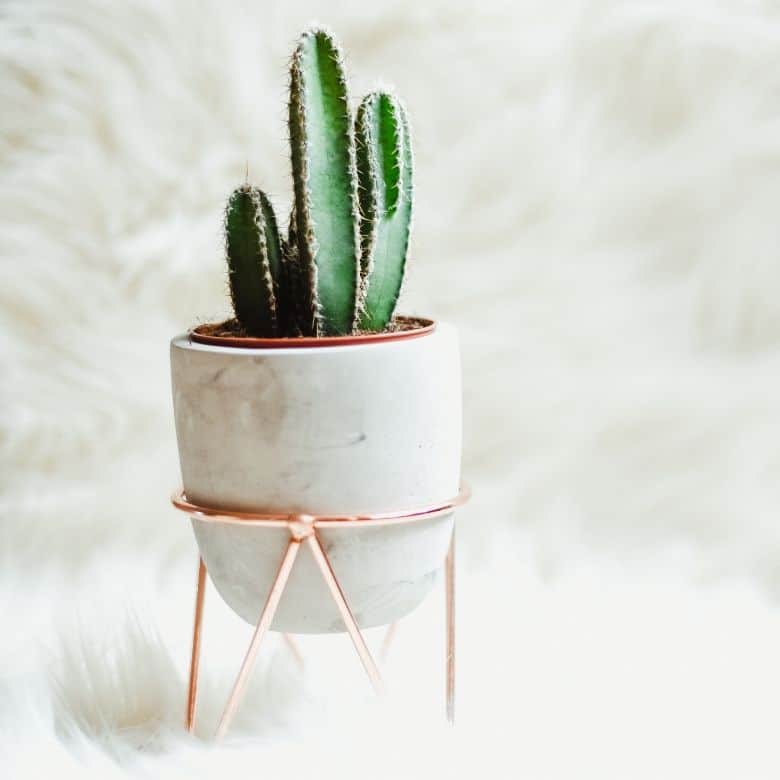 The Hottest Rose Gold Home Decor Of The Season - These are The Hottest Rose Gold Home Decor Of The Season! Check them out and get your home and office decorated in style. #rosegold #stylish #beautiful #glam #gold #rose #decor #decorations #simple #homefreshideas