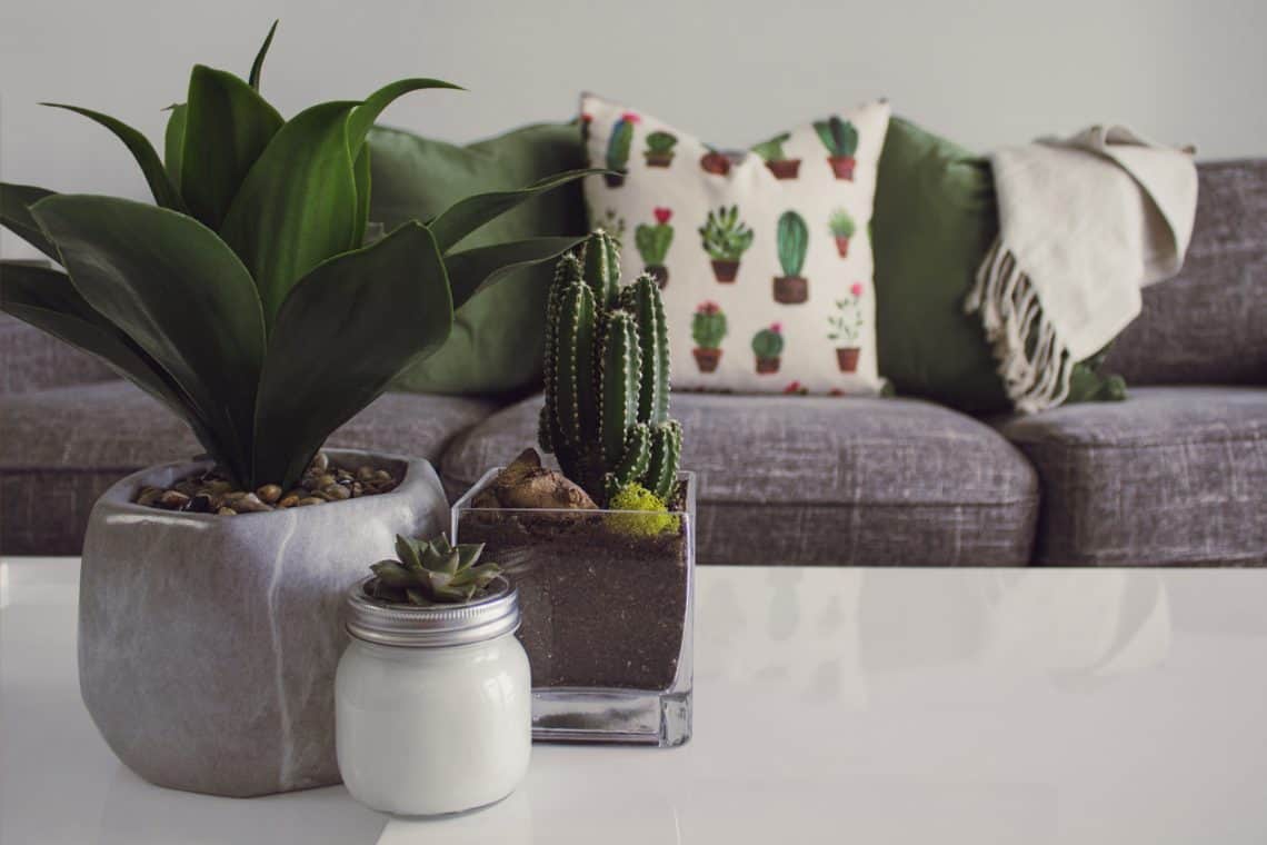 The Best Fake House Plants For People With Black Thumbs Home Fresh Ideas