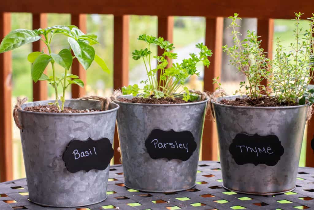 Easy DIY Herb Garden Planter Idea - If you want to try your hand at this DIY Herb Garden Planter, you will be pleased with how easy it is. Grow your own herbs and make your meals taste amazing! #planter #herb #herbgarden #diy #easy #homefreshideas