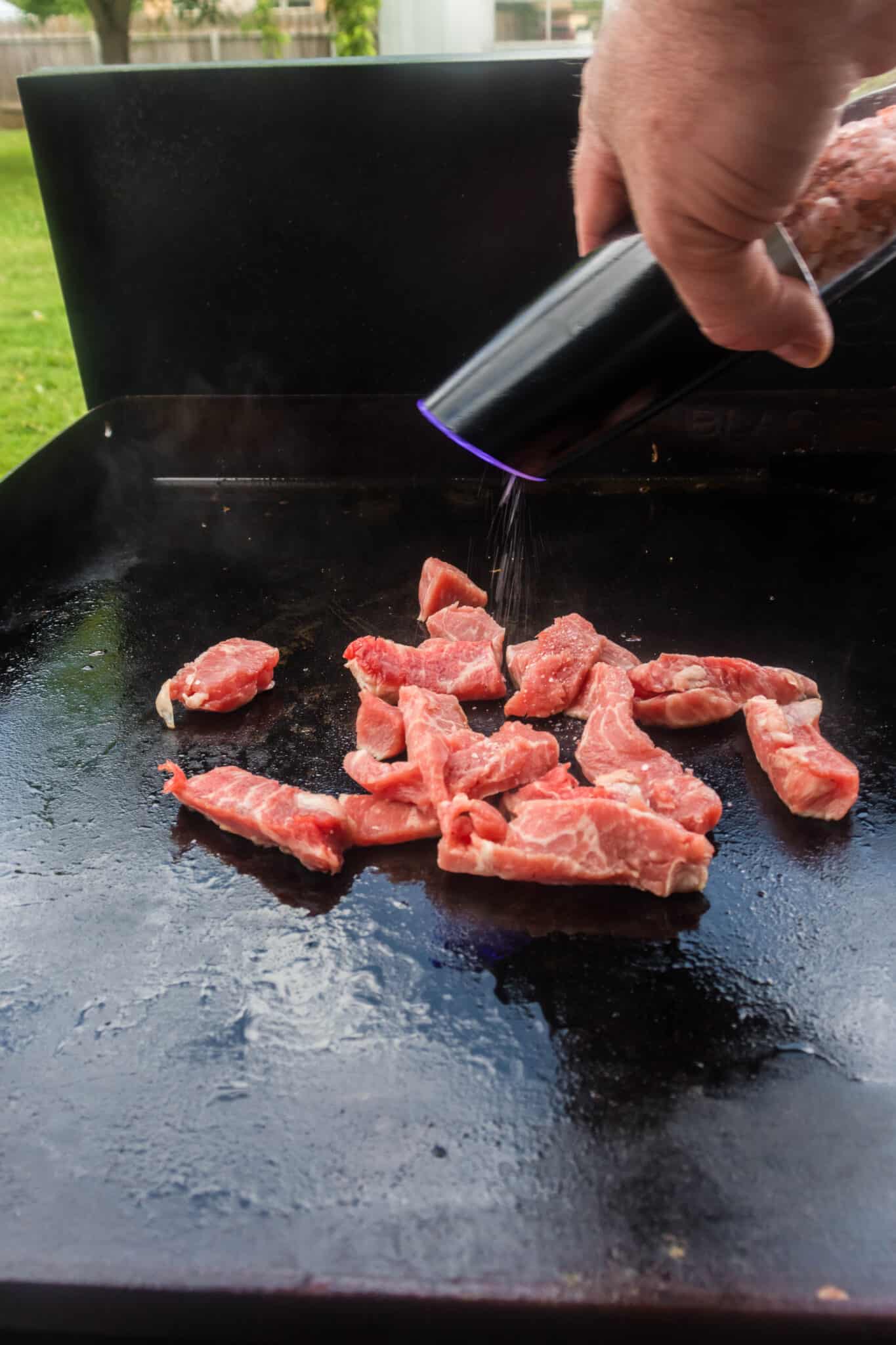 Blackstone Fajitas (Steak) Recipe Home Fresh Ideas