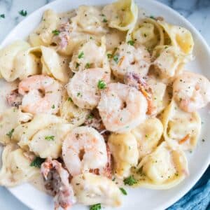 white plate with shrimp alfredo and tortellini