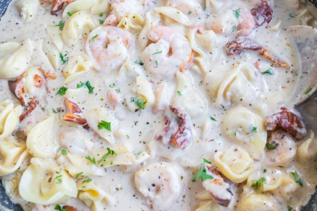 closeup of shrimp tortellini alfredo