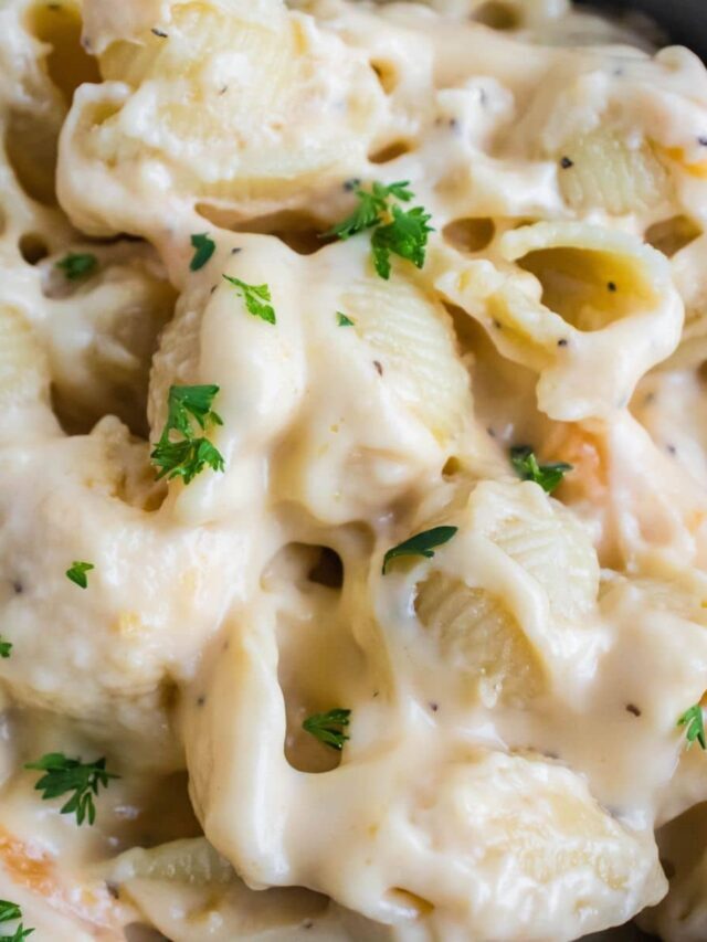 Macaroni and Cheese with Shells