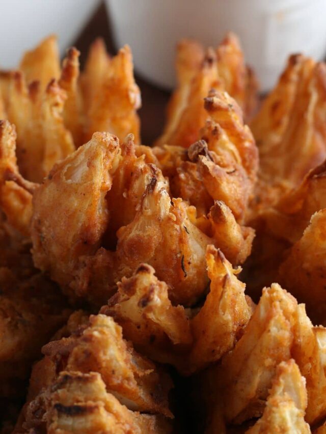 closeup of onion blossom