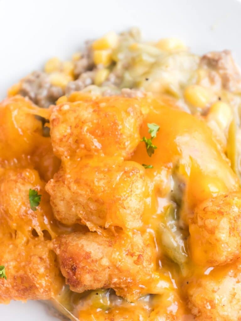 tater tot casserole with cheese on a plate