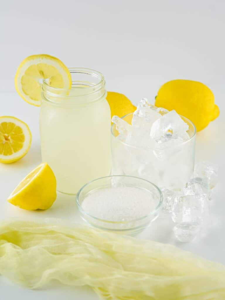 ingredients to make a lemon slush